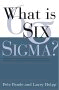 What is Six Sigma?